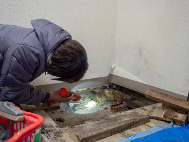 Best Water Damage & Mold Remediation  in Four Corners, MT