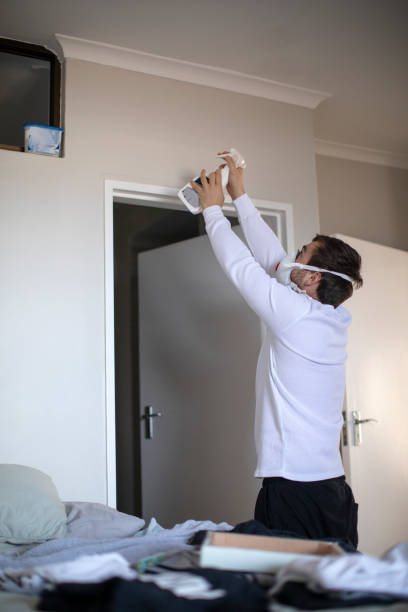 Best Commercial Mold Inspection  in Four Corners, MT