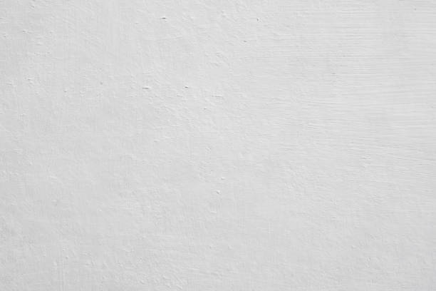 Best Emergency Mold Remediation  in Four Corners, MT