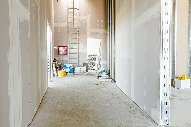 Best Environmental Consulting for Mold Prevention  in Four Corners, MT