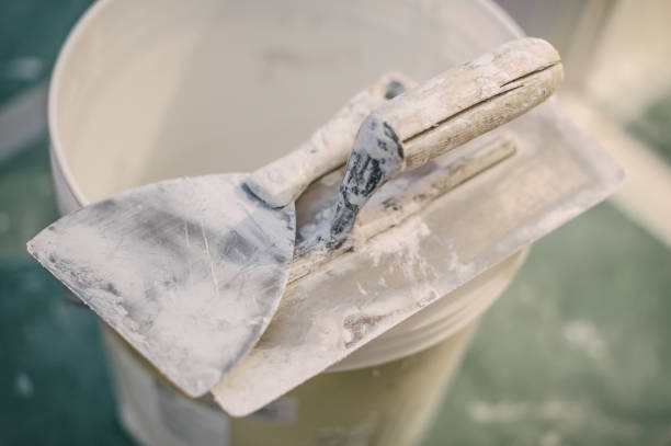 Best Black Mold Removal  in Four Corners, MT