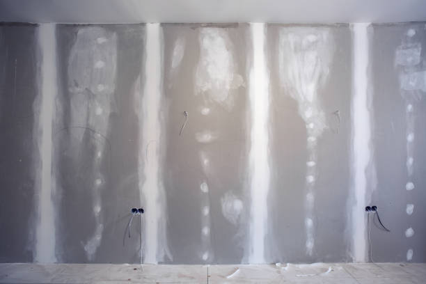 Best Post-Construction Mold Inspection  in Four Corners, MT